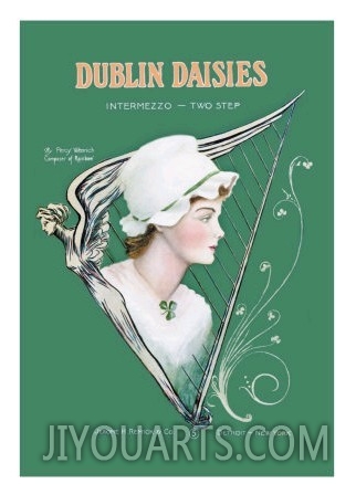 Dublin Daisies