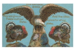 Our National Birds, Eagle and Turkey