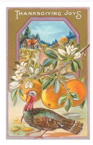 Thanksgiving Joys, Turkey and Apples