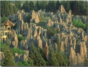 Landscape of Stone Forest with Sunset Light, Stone Forest, China
