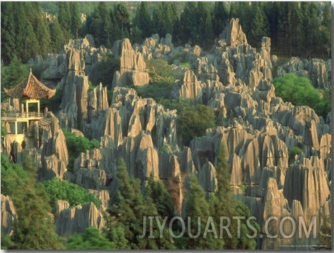 Landscape of Stone Forest with Sunset Light, Stone Forest, China