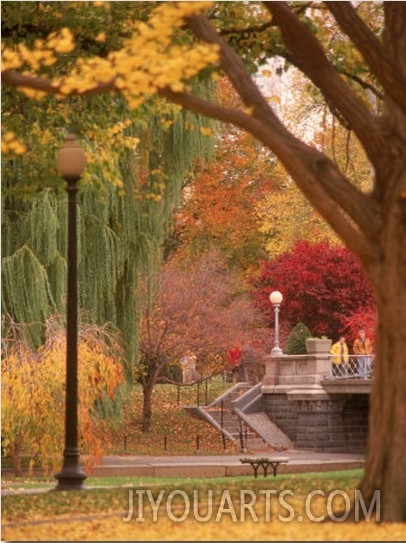 Public Gardens in Autumn, Boston, MA