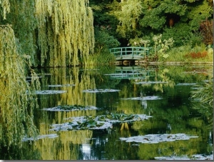 Subtle Light and Shade Reveal Impressionist Painter Claude Monets Self Designed Gardens at Giverny