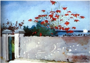Wall Nassau