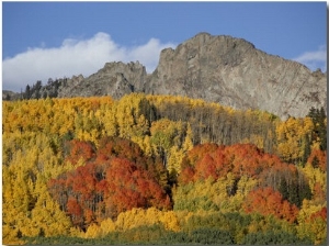 Dyke with Fall Colors, Grand Mesa Uncompahgre Gunnison National Forest, Colorado, Usa