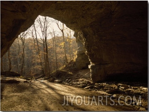 View Looking Out from the Mouth of a Cave Looking Out into a Forest