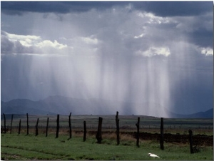 Veils of Rain Stream from Sunlit Clouds over Farmland