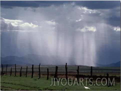 Veils of Rain Stream from Sunlit Clouds over Farmland