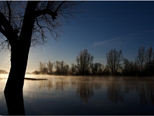 Winter Morning at Aller Flood