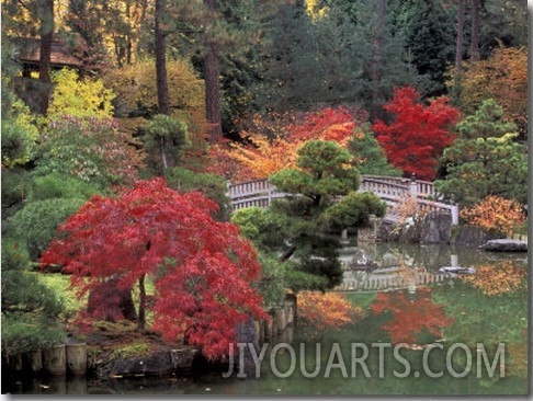 Kiri Pond and Bridge in a Japanese Garden, Spokane, Washington, USA