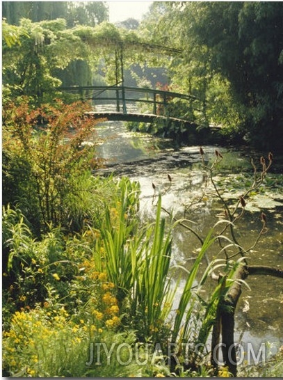 Waterlily Pond and Bridge in Monet