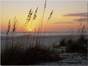 Sunset, Gulf Coast, Longboat Key, Anna Maria Island, Beach, Florida, USA