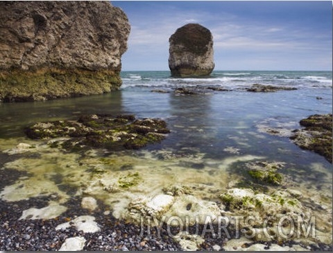 Chalk Cliffs and Sea Ledges, Freshwater Bay, Isle of Wight, England, United Kingdom, Europe