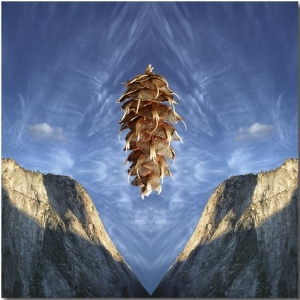 Floating Douglas Fir Cone over Symmetrical Cliffs and Symmetrical Cloud Pattern in Sky