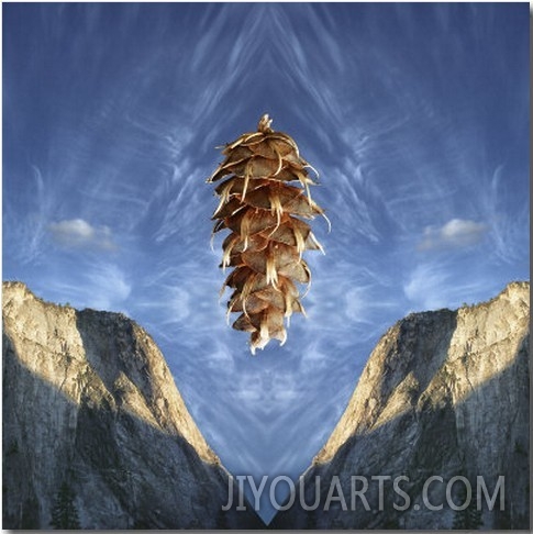 Floating Douglas Fir Cone over Symmetrical Cliffs and Symmetrical Cloud Pattern in Sky