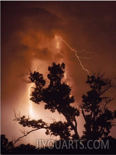 Bolt of Lightning Brightens a Night Sky