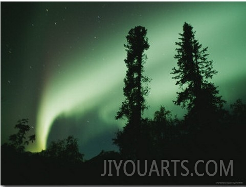 Red Northern Lights, or Aurora Borealis, Illuminate the Night Sky