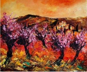 Blooming Cherry Trees In Provence