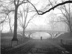 Gothic Bridge, Central Park, New York City