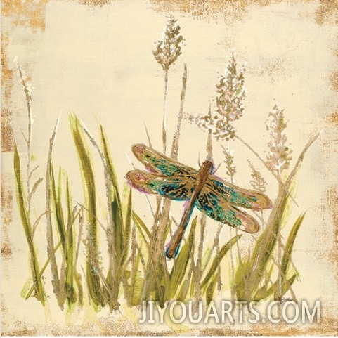 Dragonfly Meadow