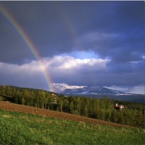 Rainbow over the Trees, Jamtland, Sweden