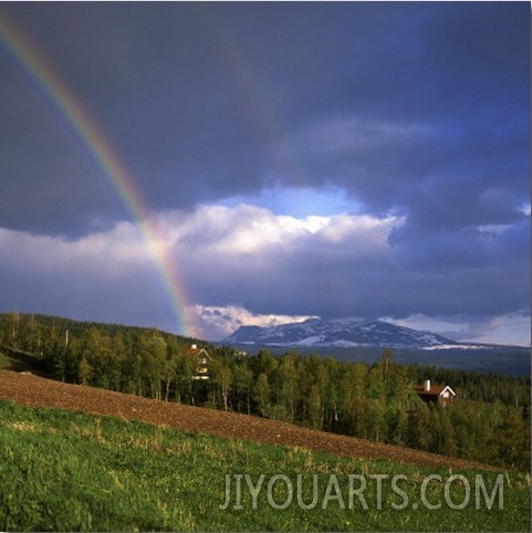 Rainbow over the Trees, Jamtland, Sweden