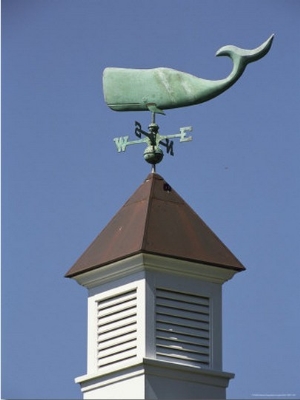 A Sperm Whale Weather Vane on a Roof Top