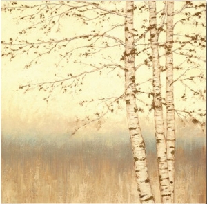 Birch Silhouette II
