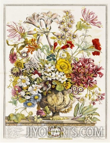 Hand Colored Engraving of Bouquet  October, 1730