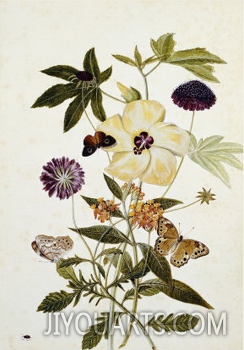 Milkweed, Poppy and Hibiscus with Butterflies and a Beetle