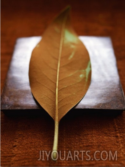 Sepia Leaf