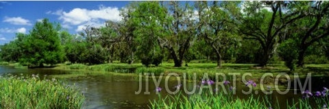 Jungle Gardens, Avery Island, Southern, Louisiana, USA
