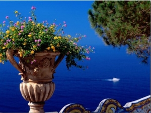Flowers in Bloom on Terrace of Hotel San Pietro, Positano, Italy