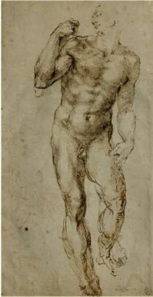 Nude Male Figure Seen Frontally, circa 1502 1506