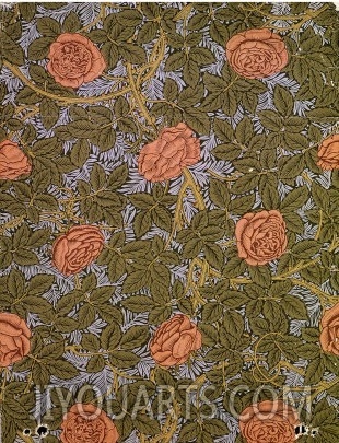 Rose   93  Wallpaper Design