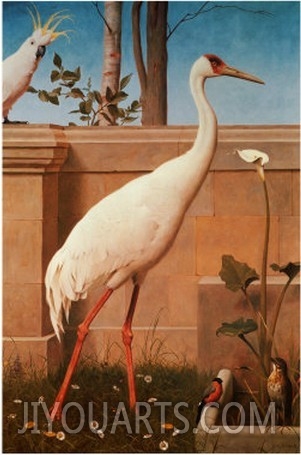 Indian Crane, Cockatoo, Bullfinch and Thrush