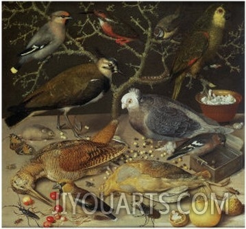 Still Life of Birds and Insects, 1637