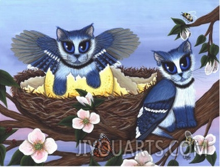 Blue Jay Kittens  Bird Cats