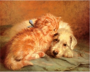 Kitten and Puppy