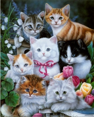 Kitties I