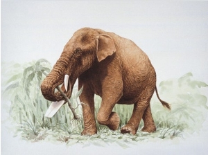 Elephant Eating Plant