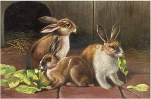 Three Brown and White Domestic Rabbits Eating Green Leaves