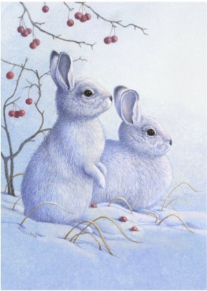 Two Bunnies in the Snow