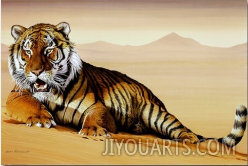 Tiger in Sand