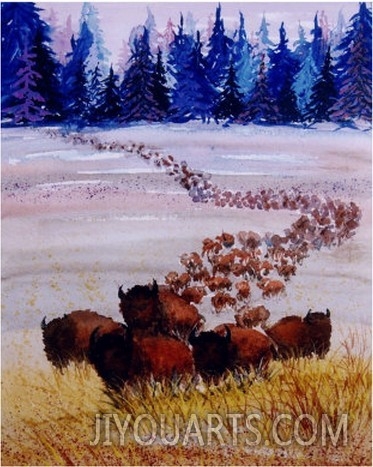 Large Herd of Bison Cross a Vast Plain