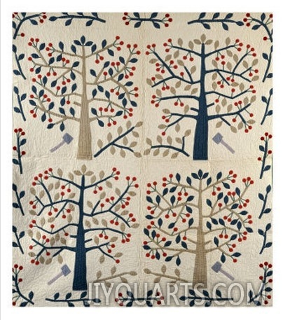 An Appliqued Cotton Quilted Coverlet, American, Mid 19th Century