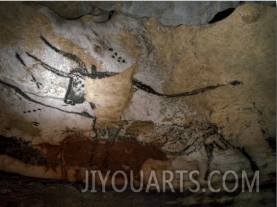 Paleolithic Art of Bulls on Calcite Walls of Lascaux Cave