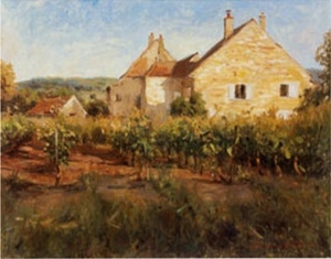 Vineyard Cottages in Jully
