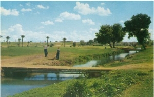 View of Golfer Hitting Ball at Mesa Golf and Country Club   Mesa, AZ