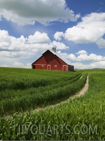 Old Red Barn and Spring Crop of Wheat, Genesee, Idaho, USA
